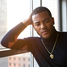 Load image into Gallery viewer, The 14K Gold Faceted Lion
